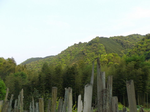 眺望遠山