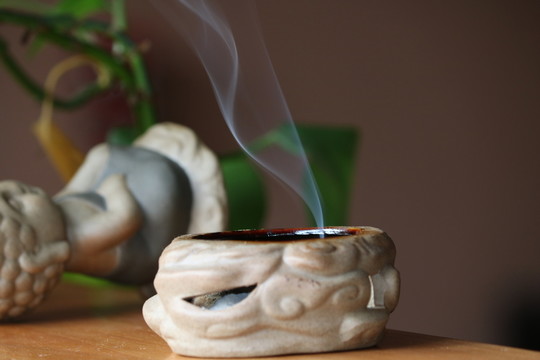 茶花文化