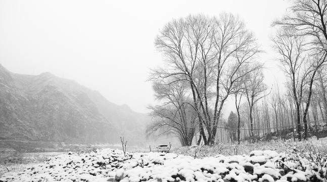 雪野