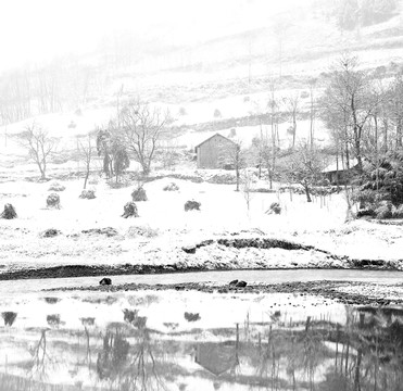 雪景