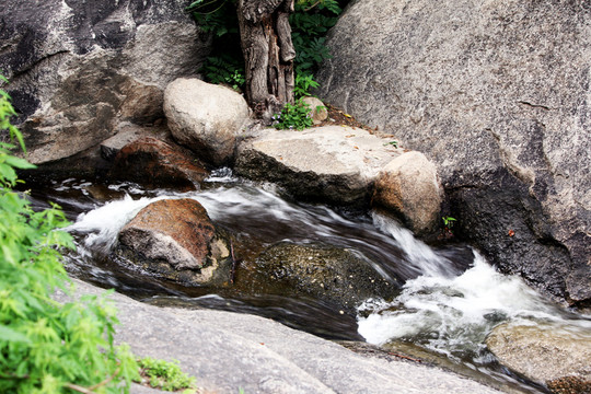 溪流 小溪 山間溪水