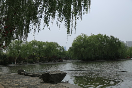 園林