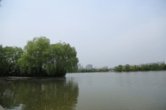 園林景觀