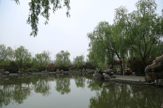 園林景觀