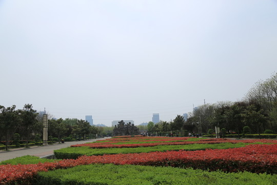 綠化帶