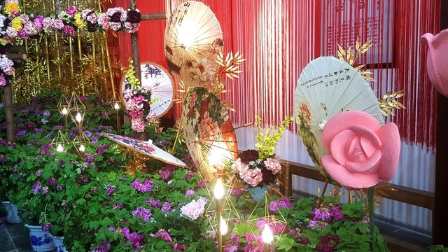 牡丹花