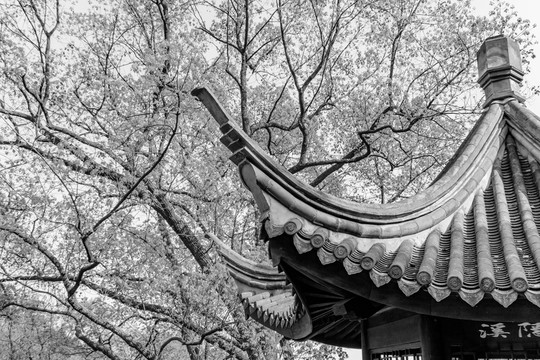 涼亭 亭子