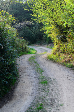 彎曲的山路