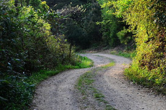 彎曲的山路