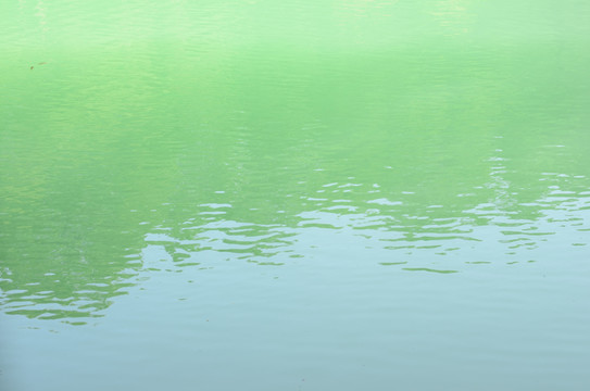 水面微波