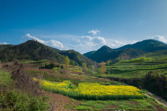 秦嶺山
