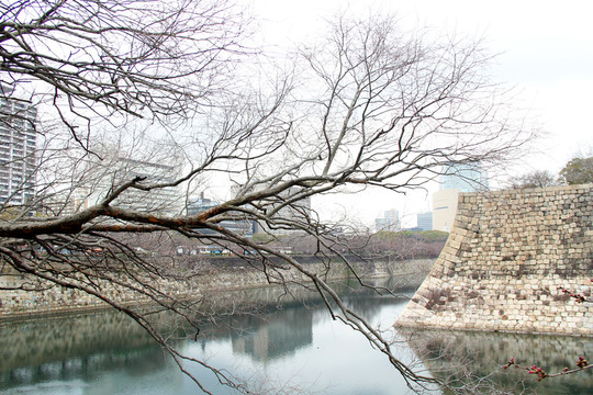 日本大阪城公園