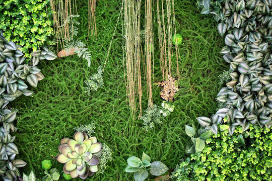 綠色植物墻 植物墻 花卉墻 綠