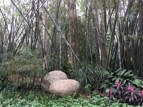 竹林