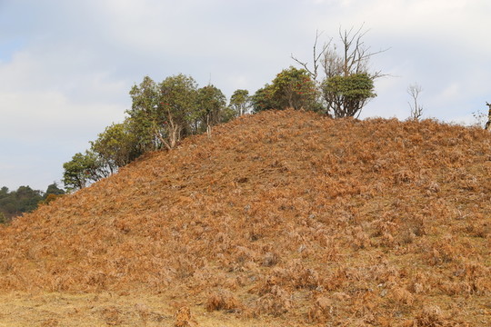 大山