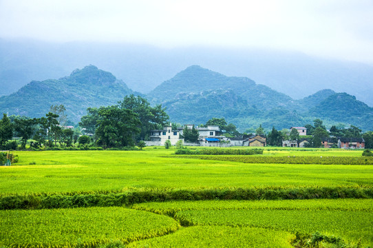 田園秋色