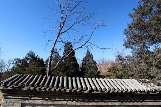 圓明園遺址