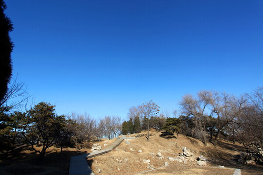 圓明園遺址