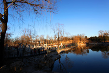 圓明園遺址公園 圓明園