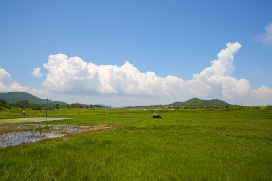 藍(lán)天白云