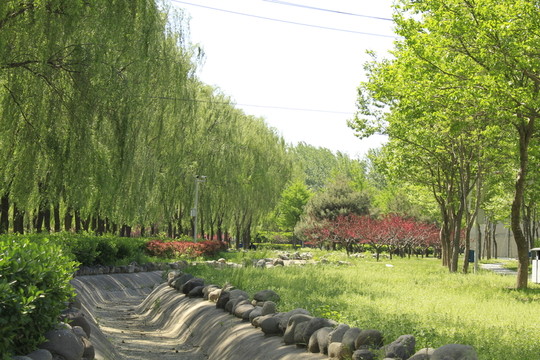 公園風(fēng)景一角