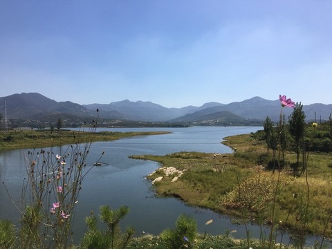 水庫(kù)  湖畔風(fēng)景