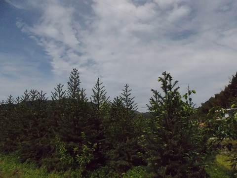 天空山色