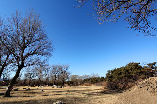 遺址 廢墟 北京 建筑 圓明園