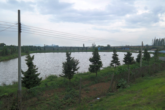 三江漁業(yè)隊魚塘美景