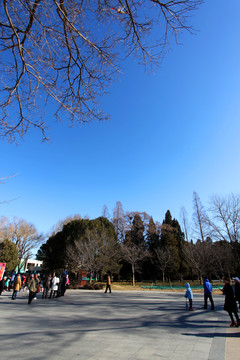 遺址 廢墟