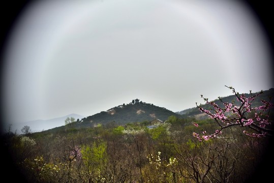 桃花大山