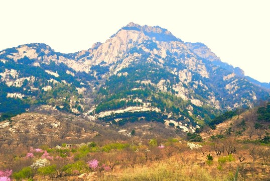 大山春色