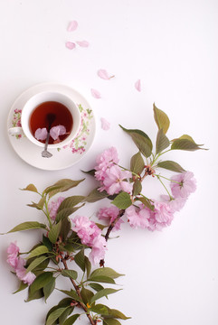 紅茶鮮花