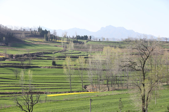 田園風(fēng)光