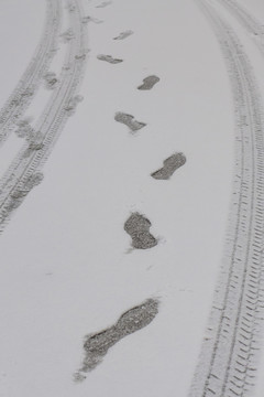 雪中腳印