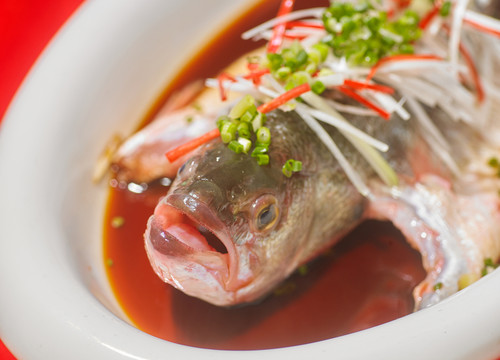 魚頭