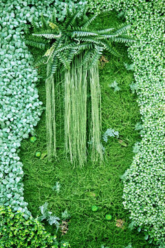 綠色植物墻 植物墻 花卉墻