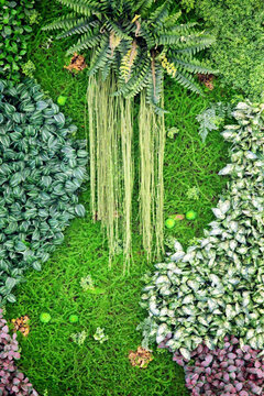 綠色植物墻 植物墻 花卉墻