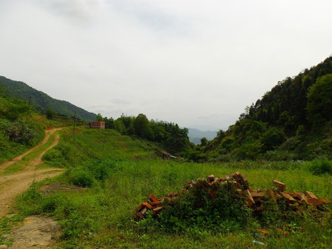 山中春色