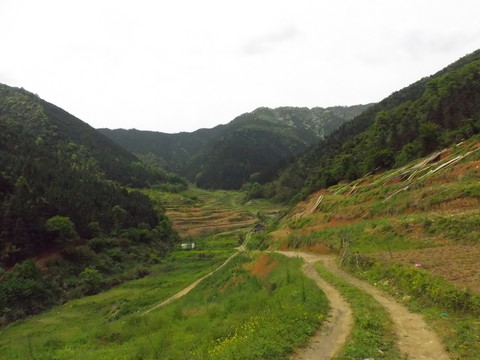 山中風(fēng)景