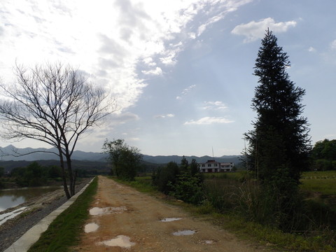 鄉(xiāng)村土路