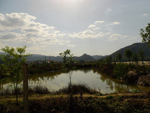 鄉(xiāng)村池塘