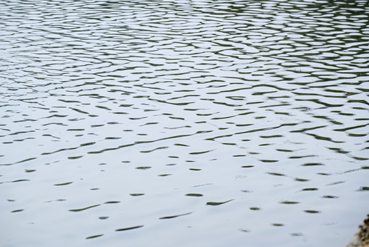 水波紋