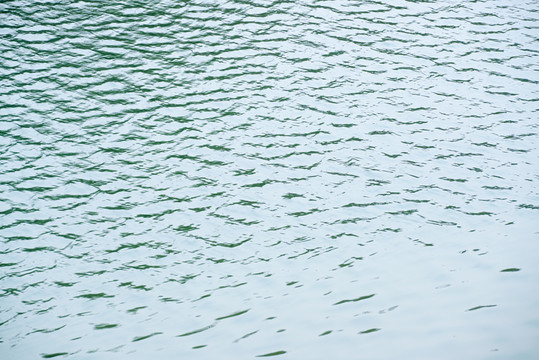水波紋