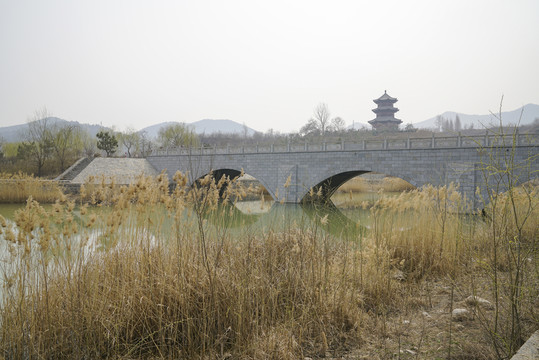 蘆葦 橋 公園