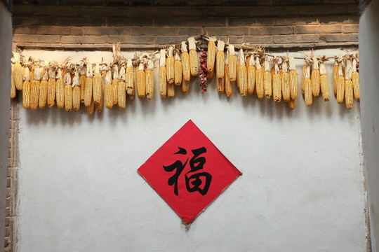 山村玉米棒子