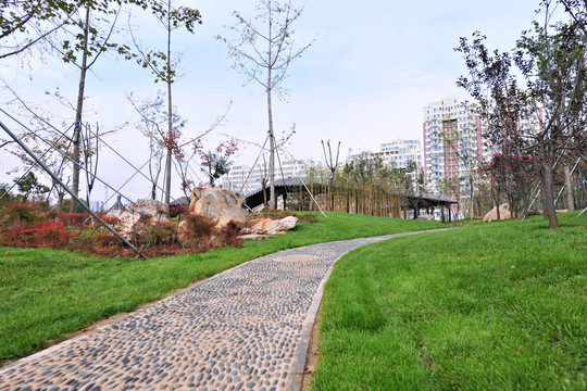 公園綠化 園林風景