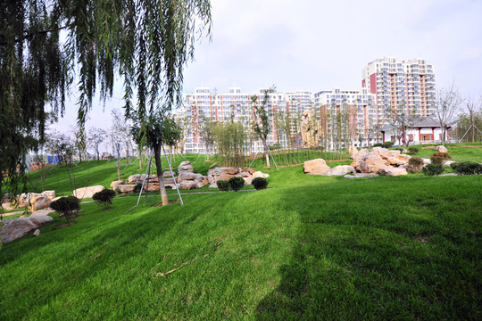 城市公園綠地