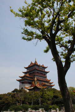 蓬萊三仙山