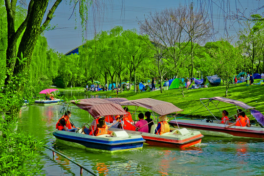 游船 公園游船 親子游 垂柳